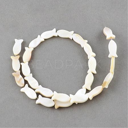 Natural Sea Shell Beads Strands SSHEL-Q296-39-1