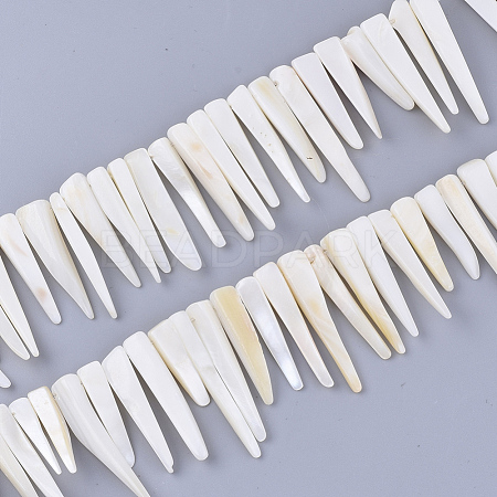 Freshwater Shell Beads Strands SHEL-S276-29A-1
