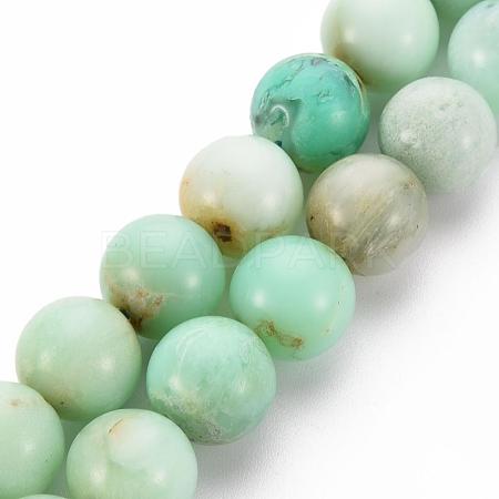 Natural Chrysoprase Beads Strands G-S333-10mm-037-1