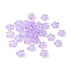 Eco-Friendly Transparent Acrylic Beads PL556-PW41-1