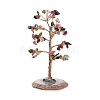 Natural Multicolor Tourmaline Chips & Agate Pedestal Display Decorations DJEW-A001-04F-2