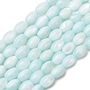 Dyed Natural Freshwater Shell Beads Strands SH-CBA2978-06C-1