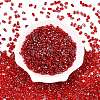 Picasso Spray Painted Glass Seed Beads SEED-T006-04-25-1