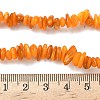 Natural Freshwater Shell Beads Strands BSHE-I016-01I-2
