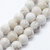 Natural Magnesite Beads Strands X-G-I199-27-6mm-1