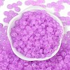 Transparent Colours Glass Seed Beads SEED-P008-01B-04-3