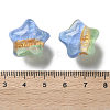 Gradient Color Transparent Hand-drawed Acrylic Beads TACR-P012-01B-10-3