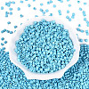 FGB Baking Paint Glass Seed Beads SEED-Q040-09A-14-2