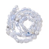 Natural Blue Lace Agate Beads Strands G-L608-A02-01A-3