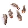 Chicken Feather Costume Accessories FIND-Q046-08-2