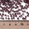 Glass Seed Beads SEED-A004-3mm-16-3