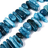 Dyed Natural Quartz Beads Strands G-Q606-24A-02-1