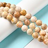 Natural Crazy Lace Agate Beads Strands G-H298-A12-04-2