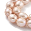 Natural Cultured Freshwater Pearl Beads Strands PEAR-P062-13D-4