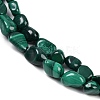 Natural Malachite Beads Strands G-L493-42A-4
