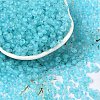 6/0 Luminous Glass Seed Beads SEED-NH0001-01N-2