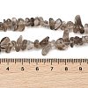 Natural Smoky Quartz Beads Strands G-P622-A01-01-5