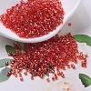 MIYUKI Delica Beads SEED-X0054-DB0098-1