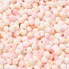 Two Tone Baking Paint Glass Seed Beads SEED-F005-01A-02-3
