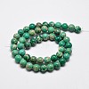 Natural Imperial Jasper Beads Strands G-I122-10mm-05-3