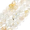 Natural Topaz Beads Strands G-C179-F04-01-1