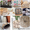  40Pcs Unfinished Beech Wooden Round Pieces WOOD-PH0009-48-2