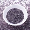 MIYUKI Delica Beads Small X-SEED-J020-DBS1244-2