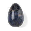 Natural Sodalite Egg Shape Display Decorations G-Z094-01B-1