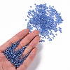8/0 Glass Seed Beads SEED-US0003-3mm-26-4