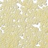 Glass Seed Beads SEED-H002-E-A1401-3