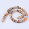 Natural Crazy Lace Agate Beads Strands G-Q462-10mm-12-3