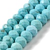Dyed Natural Howlite Beads Strands G-G023-A01-01A-1