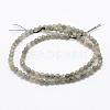Natural Labradorite Beads Strands G-P322-30-4mm-2