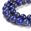 Natural Lapis Lazuli Beads Strands G-S333-8mm-013-2