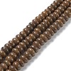 Natural Fossil Coral Beads Strands G-H269-04-1