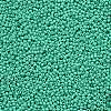 11/0 FGB Grade A Baking Paint Glass Seed Beads X-SEED-N001-A-1030-2