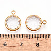 K9 Glass Charms X1-GLAA-T023-37A-02-3