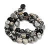 Natural Picasso Jasper Beads Strands G-K398-A01-01-3