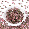 Picasso Transparent Glass Beads SEED-Q039-02K-2