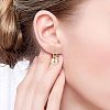 Pearl Earrings Gray Round Ball Hoop Dangle Earrings Stud Elegant Shell Pearl Drop Stud Imitation Freshwater Cultured Pearls Earrings Brass Charms Jewelry Gift for Women JE1096B-6