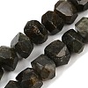 Natural Labradorite Beads Strands G-F796-D05-01-2