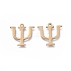 304 Stainless Steel Charms LS-STAS-K215-11G-2
