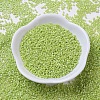 MIYUKI Delica Beads Small X-SEED-J020-DBS0169-2