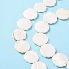 Natural Freshwater Shell Beads X-S00C20W3-4
