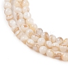 Natural Freshwater Shell Beads Strands SHEL-T011-02-3mm-3