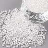 11/0 FGB Grade A Transparent Glass Seed Beads X-SEED-N001-F-238-1