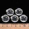 Transparent Acrylic Pendants TACR-T024-05B-205-4