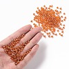 Glass Seed Beads X1-SEED-A006-4mm-109B-4