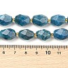 Natural Apatite Beads Strands G-P541-A01-06-4