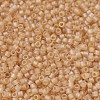 MIYUKI Delica Beads Small SEED-J020-DBS0852-3